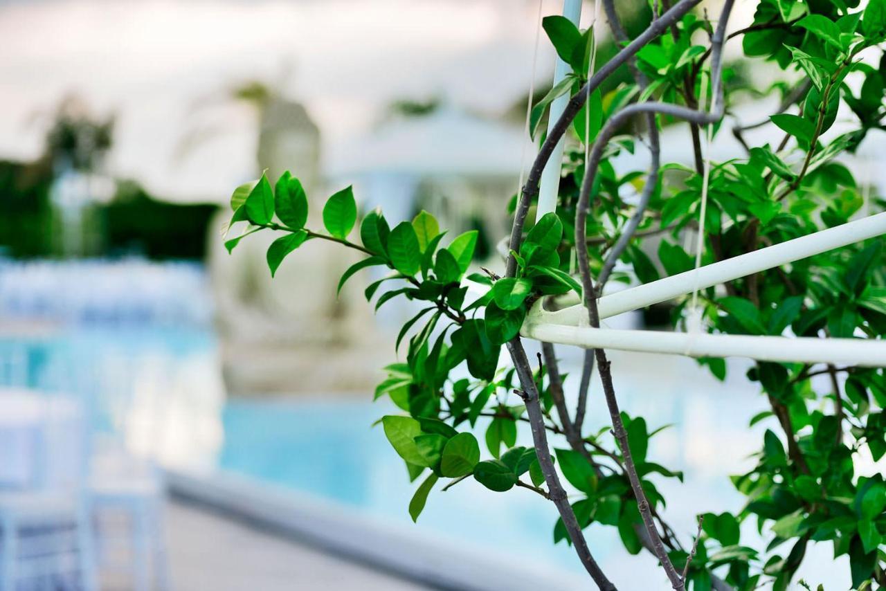 Villa La Fenice 雷焦卡拉布里亚 外观 照片